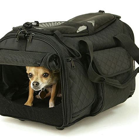 Deluxe Wheeled Pet Carrier, Swivel Wheels, Fits under Airline Seat