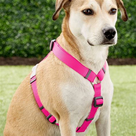 Red Dingo Classic Dog Harness, Hot Pink, Large - Chewy.com