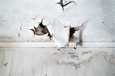 Is Black Mold From Water Damage Making You Sick | BMS CAT