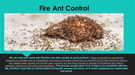 Fire Ant Control by Graham’s Lawn & Pest - Issuu