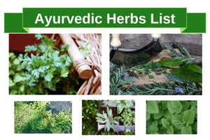 Ayurvedic Herbs: Ayurvedic Herbs List & Benefits of Ayurvedic Herbs