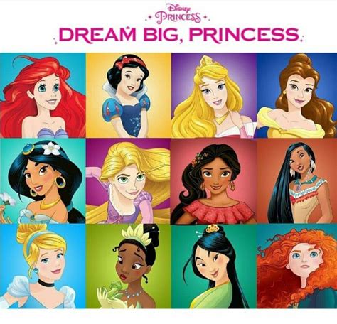 the disney princesses are all different colors and sizes, but they have their names on them