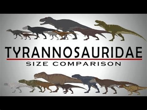 Tyrannosauridae Family & Tyrannosaurus Rex Size Comparison : r ...