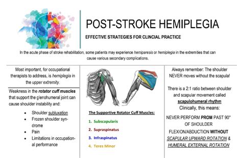 Stroke Hemiplegia Education Handout - Etsy