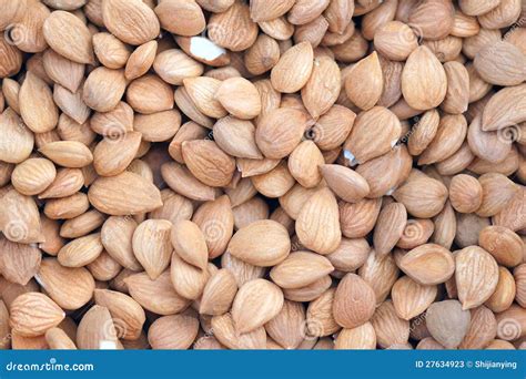 Almond Seed Stock Photos - Image: 27634923