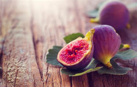 The 5 Best Fig Tree Fertilizers To Help You Grow Delicious Figs - Minneopa Orchards