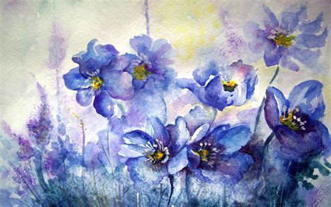 Fond d'écran : 1680x1050 px, fleur, La peinture, aquarelle 1680x1050 - wallbase - 1745325 - Fond ...