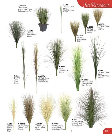 Ornamental Grass Landscape, Ornamental Grasses, Landscape Grasses ...