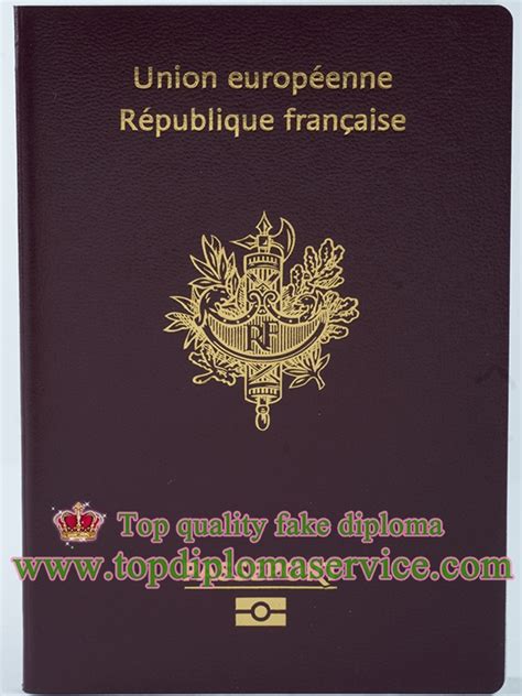 Secrets to get a detectable France passport and visa online