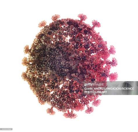 Coronavirus Particle Illustration High-Res Vector Graphic - Getty Images