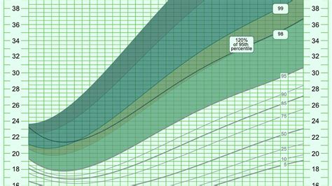 Extended BMI Charts Help Address the Pediatric Obesity Crisis | MedPage ...