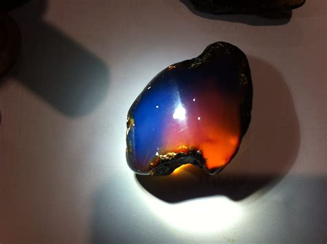 Amber Buying Guide - International Gem Society - IGS