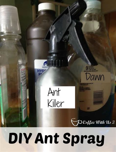 DIY Ant Spray & Ant Repellent | Coffee With Us 3