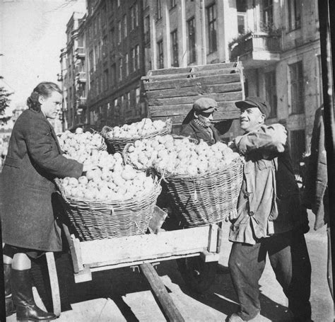 The Polish Apple: From Seed to Cider – Postcard Poland