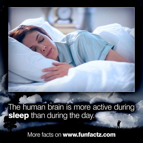 The human brain is more active during sleep than during the day.