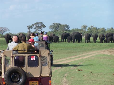 Sri Lanka wildlife safari