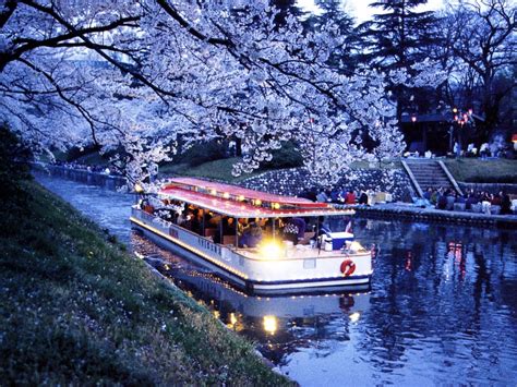 富山・松川べりの桜460本のトンネルを遊覧船で行く [富山の観光・旅行] All About