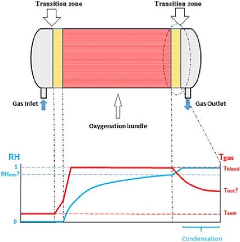 Blood oxygenator outline, with estimation of the temperature and ...