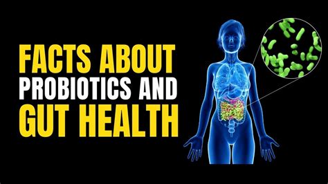 5 Surprising Facts About Probiotics And Gut Health