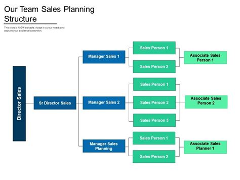 Our Team Sales Planning Structure | PowerPoint Slide Images | PPT ...