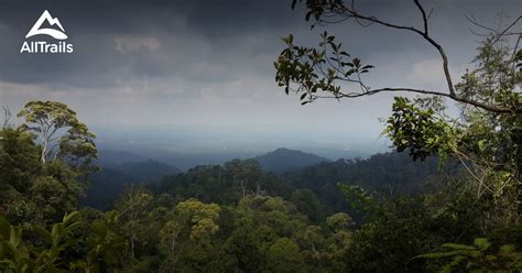 Best trails in Gunung Pulai Recreational Forest, Johor, Malaysia | AllTrails