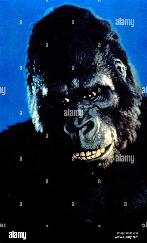 KING KONG -1976 Stock Photo: 29186142 - Alamy