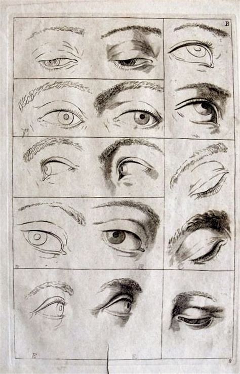 53 best images about eyes references on Pinterest | Figure drawing ...