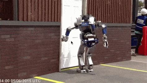 We're not doomed: A supercut of robots falling down