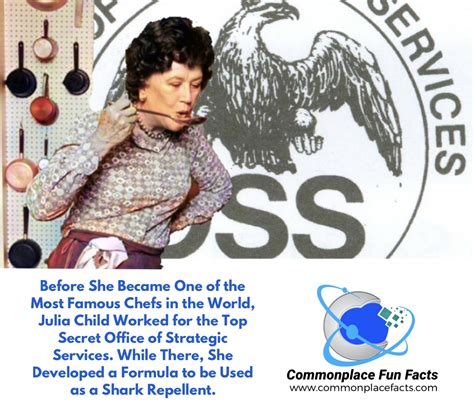 Before She Was a Chef Julia Child Cooked Up a Secret Recipe for a Spy Agency – Commonplace Fun Facts