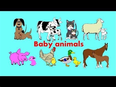 Baby Animals songs for children. A song to help you learn about the ...