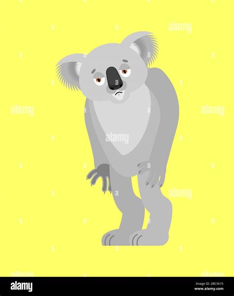 Koala sad. koala bear sorrowful. Beast dull. Vector illustration Stock Vector Image & Art - Alamy