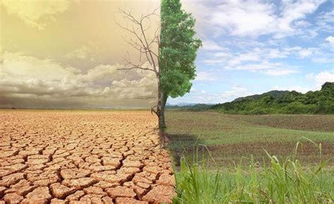 Nigeria: Climate Change - Nigeria's Productivity Could Decrease By 30% ...