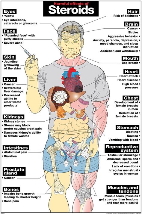 Harsh internal and external side effects from using steroids (HV) | Revision Suggestions ...