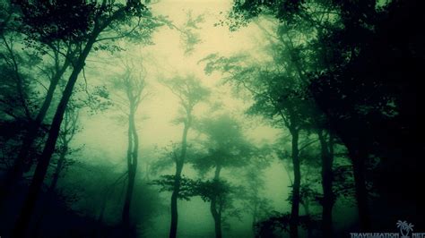 Dark Rainy Forest Wallpapers - Top Free Dark Rainy Forest Backgrounds - WallpaperAccess