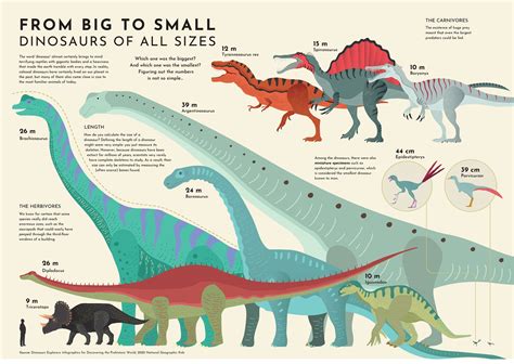 The Sizes of Dinosaurs Compared