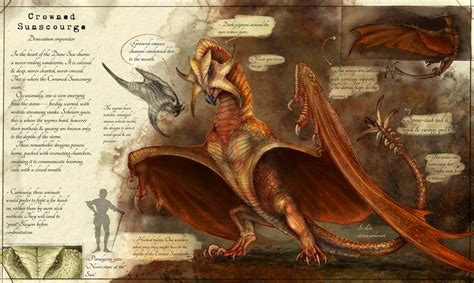 Crowned Sunscourge species (Dragonslayer Codex) by SawyerLeeArt on ...