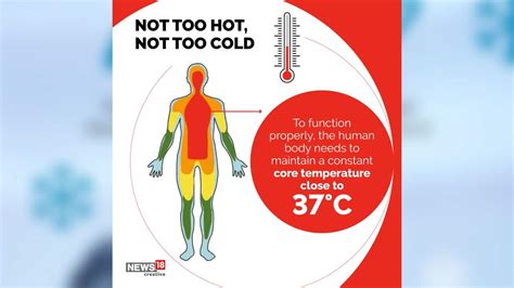 Why do we feel cold in winter and how our body protects itself from the ...