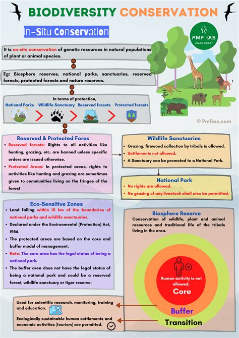 Biodiversity Conservation: In Situ & Ex Situ Conservation | PMF IAS