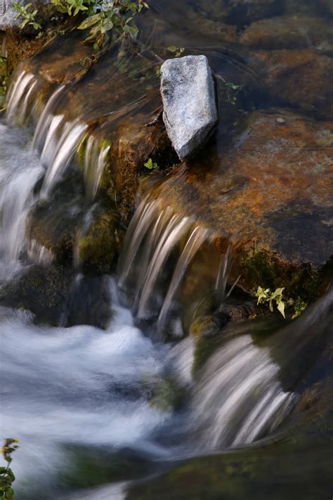 Giant Springs State Park Montana | Smithsonian Photo Contest | Smithsonian Magazine