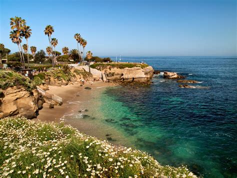 La Jolla Cove It only makes sense that San Diego is rife with gorgeous beaches for playing ...