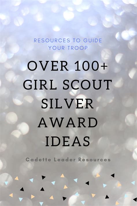 100 Girl Scout Silver Award Ideas