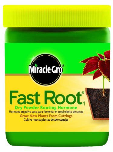 Miracle-Gro 100645 Fast Root Dry Powder Rooting Hormone Jar, 1-1/4 ...