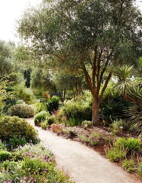 Lambley Nursery in Ascot | Sydney gardens, Sustainable garden design, Dream garden