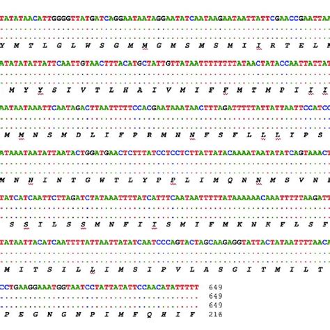 Nucleotide sequence alignment and the deduced amino acid sequence of... | Download Scientific ...