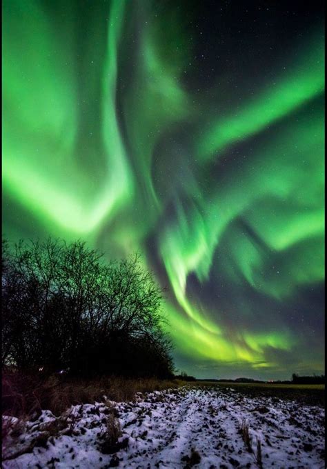 Northern Lights. Grande Prairie Alberta Canada. Awesome | Aurora borealis northern lights ...