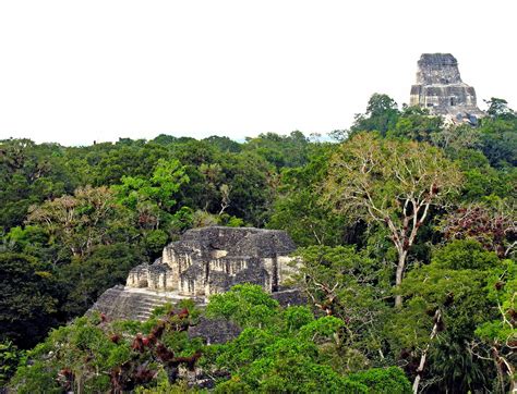 417 ancient Maya cities are found by archaeologists in a lost realm, connected by kilometers of ...