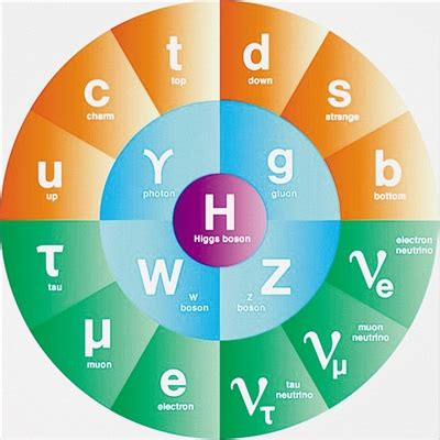 【科技日报】粒子物理新发现频出 标准模型能否“守擂”成功-中国科大新闻网