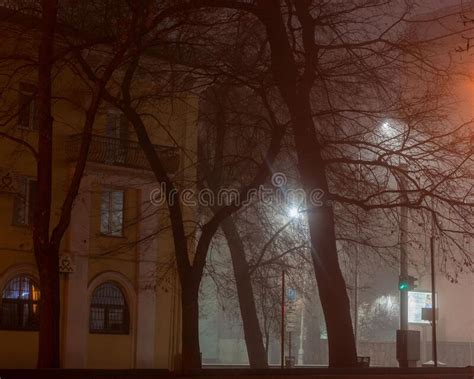 Almaty City Night Streets and Parks in Winter Editorial Photo - Image ...