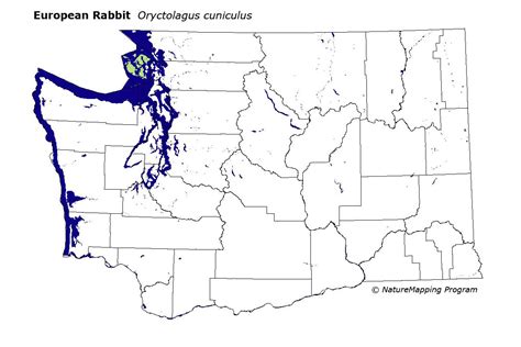 Distribution Map - European Rabbit (Oryctolagus cuniculus)