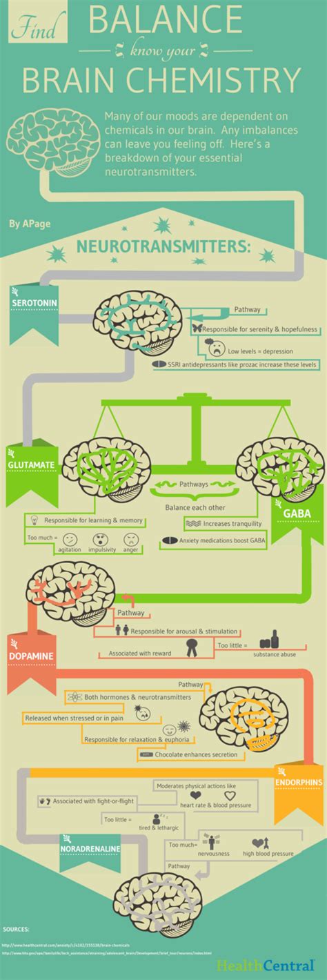 INFOGRAPHIC: Find Balance and Know Your Brain Chemistry - Causes - Anxiety